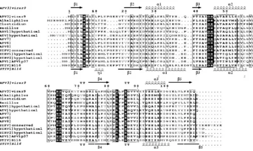 Figure 2Sequence alignment of AFV3-109 orthologs, containing archaeviral and gram positive bacterial sequencesSequence alignment of AFV3-109 orthologs, containing archaeviral and gram positive bacterial sequences