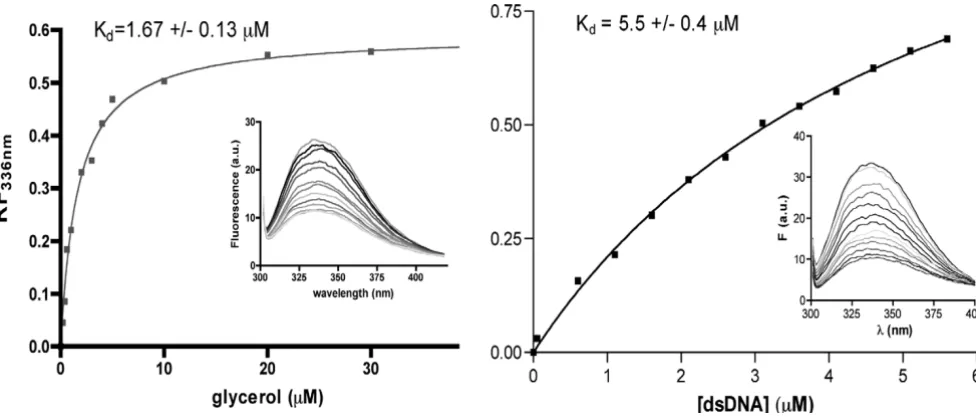 Figure 3Tryptophan fluorescence quenching study on AFV3-109Tryptophan fluorescence quenching study on AFV3-109