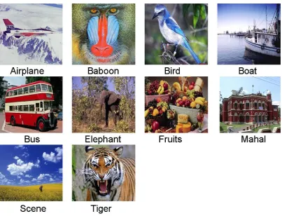 Figure 2: Training Images 