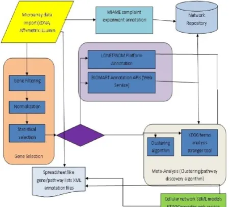 Fig. 1. Structure of the functionalities of the LONETSSOM  computational environment. 