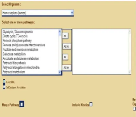 Fig. 2. KEGGConverter web application central screen 