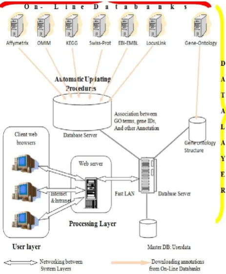 Fig. 4. The three-layer multi-database LONETSSOM system architecture. Other gene annotation data in the Gene Data DB are 