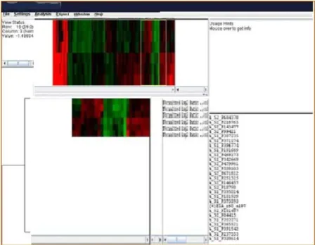Fig. 5 Overview of the LONETSSOM gene analysis results screen.  