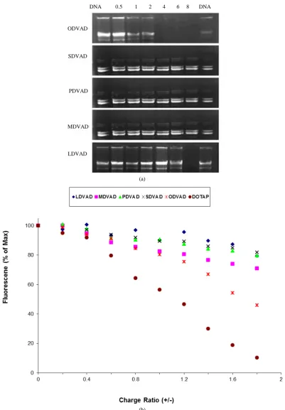 Figure 2. (a) Gel retardation assay of lipoplexes in the absence of helper lipids in 40 mM tris buffer pH 7.2