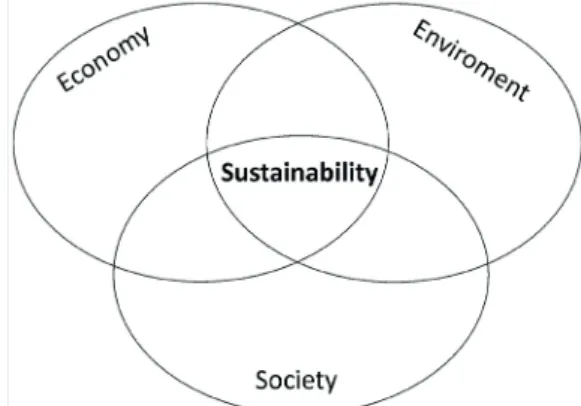 Figure 1. Schematic view of the “three pillars of  sustainability”.