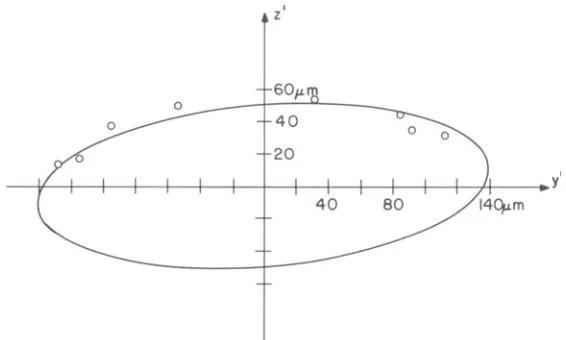 Fig. 10. y'z' cross-section of the equivalent ellipsoid for the 47 x 96 ~m (semi-axes) inclusion after the r +r trans-formation