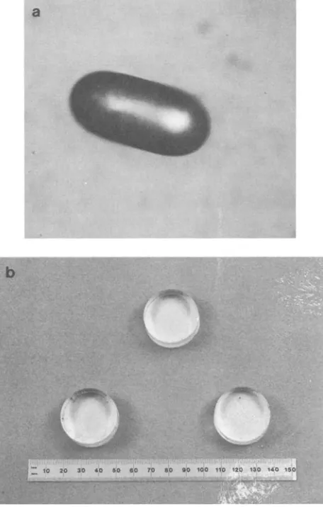 Fig. 1. (a) - Photograph of a 47 x 96 ~m (semi-axes) stainless steel inclusion. (b) - Plastic samples containing inclusions