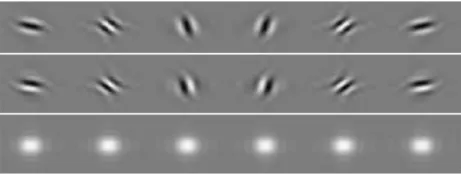 Fig 2: 2D Dual-tree discrete wavelet transform.