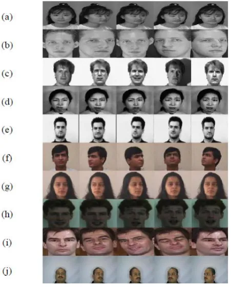 Fig 6: IITK [Female], (h) CVSR [Grimace], (i) Georgia Tech., (j) Database samples: (a) FERET, (b) ORL, (c) Yale, (d) JAFFE, (e) University of Bern, (f) IITK [Male], (g) S.G.G.S