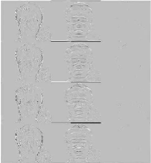 Fig 7: R-DT-DWT and C-DT-DWT subbands of a face image. 