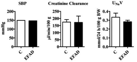 Figure 1. Effects of perinataly imposed EFAD on body weight evolution. The con-trol (C) group (n = 36, from birth to weaning and 15 from weaning until age of 13 weeks) comprises offspring of dams maintained from age of 30 days and through-out pregnancy unt