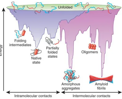 Figure 2.1 Energy landscape of protein folding. Left side: purple funnel indicates the energy barriers present and intermediates formed during protein folding to the native state