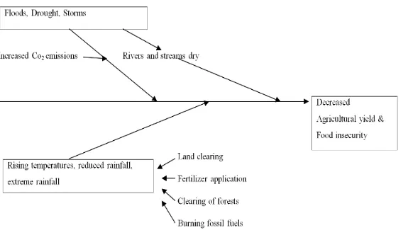 Figure 1. Cause effect model for climate change impacts on agriculture and food security