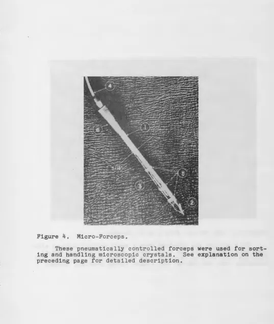 Figure 4. Micro-Forceps. 