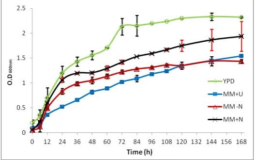 Figure 1. U. maydis cells were grown in rich medium (YPD) and under either nitrogen limitation or starvation, with glucose as carbon source