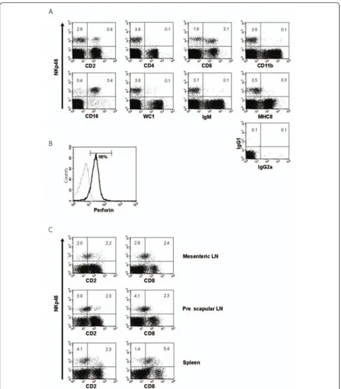 Figure 3 Analysis of the phenotype of ovine NKp46+ populations. (A)Two-colour flow cytometry analysis of ovine PBMC co-stained withEC1.1 and a selection of monoclonal antibodies against CD2, CD4, CD8, CD11b, CD16, WC1, IgM and MHCII