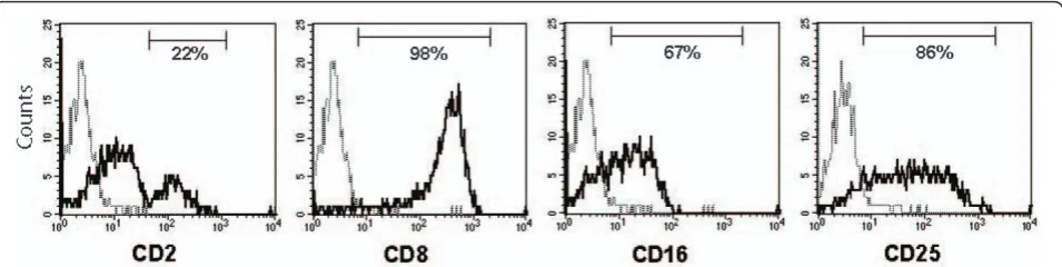 Figure 4 Phenotype of cultured NKp46monoclonal antibodies against CD2, CD8, CD16 and CD25 (solid lines) or isotype controls (broken lines)