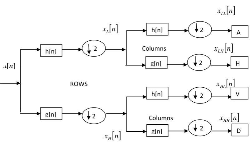 Figure 4(a) shows the low resolution image of face and figure 4(b) is its original high resolution version of size 128 x 128 with fine details