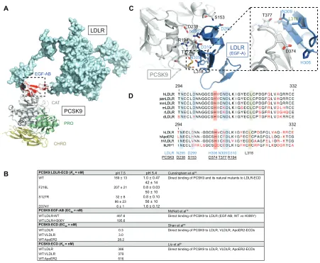 Figure 4 PCSK9:LDLR binding interface and comparative analysis with other LDLR family members