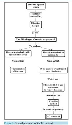 Figure 1. General procedure of the EC method.                      