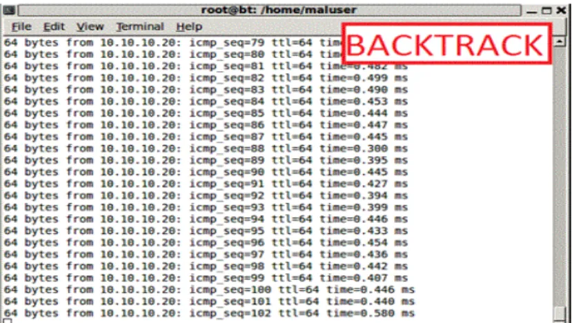 Figure 8. Interface backtrack when issuing the ping command to VM6 (10.10.10.20) 