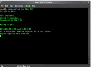Figure 14. Administrative interface of bt VM on receipt of a suspicious smurf attack alert 