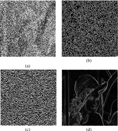 Figure 8 Edge detection using different filters (a) image corrupted with 60% salt pepper noise (b) CD (c) SO (d) 