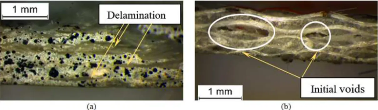 Figure 3. (a) Delamination of each sub layer during tensile test (b) voids in composite layer