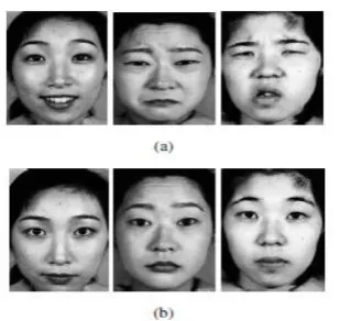 Fig.8 : EMD Feature extracation process in Yale Database images 