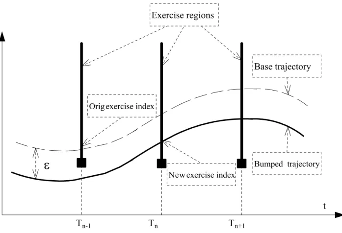 Figure 6. Non-smooth dependence of an exercise index on a simulated path