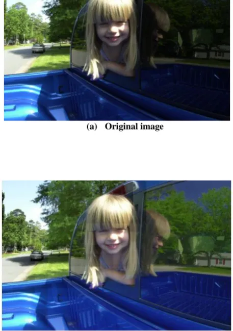 Fig 3. Blocking effects in gamma correction. This image is from http:// dragon.larc.nasa.gov/retinex/pao/news