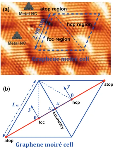 FIG. 1. Schematics showing various regions within the MLG/Ru(0001)moiré cell: (a) superimposed on an STM image of MLG