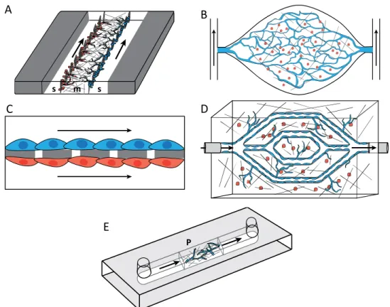 Figure 4. Microfluidic devices commonly used for culturing vascular-like networks. (A)  Three channel microfluidic device [238,  240]