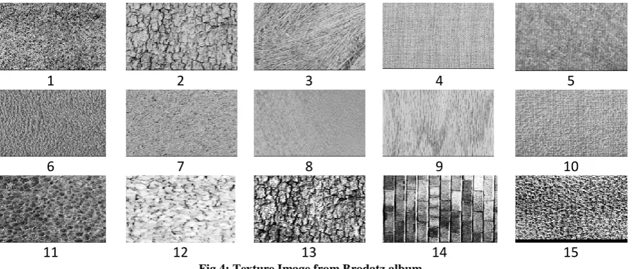 Fig 4: Texture Image from Brodatz album 13  