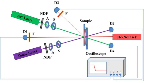 Figure 1. Experimental setup used to study optically controllable gray-level from a HPDLC-based PC; NDF: neutral density filter; S: shutter; A: aperture; F: filter; D: detector