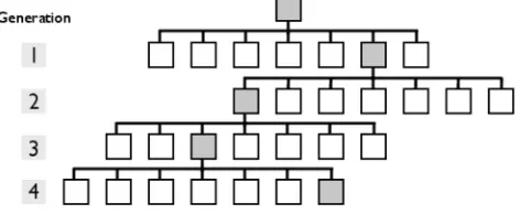 FIG. 1. A schematic representation of the GA approach is shown here. Eachgeneration is produced from a parent coil using a series of random mutationsin the coil parameters