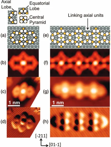 FIG. 1. STM images. (a) A 5 ×(Vimage of a chain. Iimage of a monomer. I0.01 ML S at 4.7 K