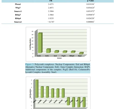 Table 3. Trithorax Complexes: Nuclear Components: Rbbp4, Rbbp7, Smarca1, Wbp7. Genes Complex Interaction: Smarcc1