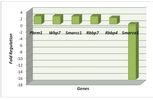 Figure 5. Trithorax Complexes: Nuclear Components: PBRM1, Rbbp4, Rbbp7, Smarca1, Wbp7