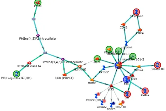 Figure 8. Polycomb cofactors: Genes Complex Interaction: Cbx7, Ctbp1, INO80, Ino80b, L3mbtl2