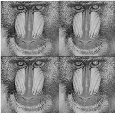 TABLE 1. Distortion Analysis of Baboon image and comparison with R.Amirtharajan work 