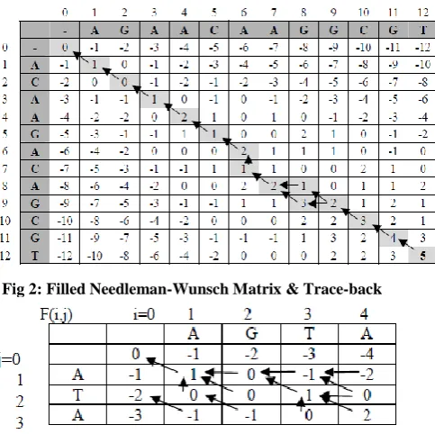 Fig 2: Filled Needleman-Wunsch Matrix & Trace-back 