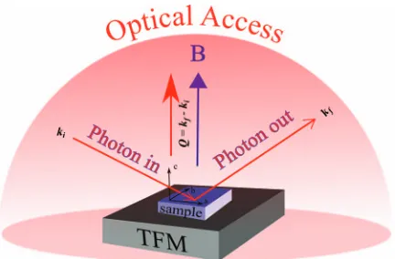 FIG. 1. Sample mounting scheme. In this case the sample is attached di-rectly to the surface of the TFM
