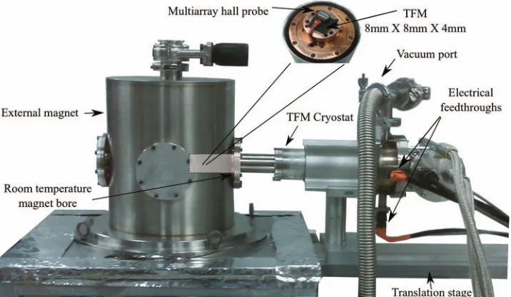 FIG. 2. Experimental setup for activation of TFMs. The cryostat is mounted on a translation stage