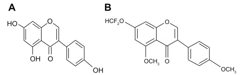 Figure 1 Structure of genistein and DFMG (A) the structure of genistein and  (B) the structure of 7-Difluoromethyl-5, 4′-dimethoxygenistein (DFMG).