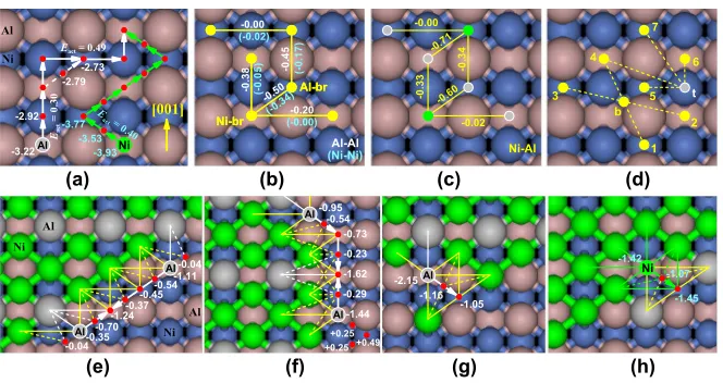 FIG. 2 (color online).(a) Adsorption energies in eV and diffusion paths for Ni and Al on NiAl(110); (b),(c) pair interactionsat a(attraction < 0) with atoms at Ni-br or Al-br sites; (b) Unconventional pair interactions with one atom at a ‘‘b’’ or ‘‘t’’ TS 