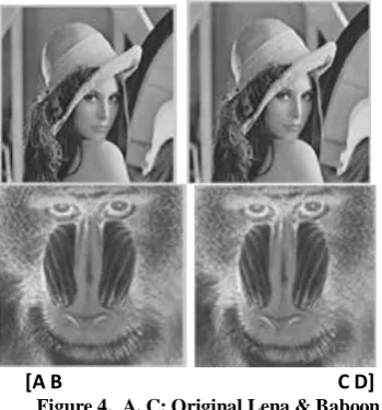 Figure 4.  respectivelyA, C: Original Lena & Baboon Images  B, D: Lena & Baboon Image after Embedding text into three LSBs 