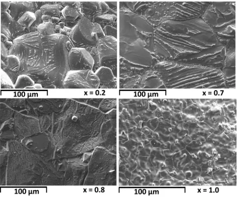 FIG. 1. SEM micrographs of the CoxFe3�xO4 samples.