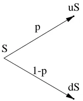 Figure 2.1: Binomial model with a single time step