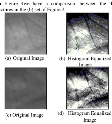 Fig 3. Original Image and Histogram Equalized  Image 